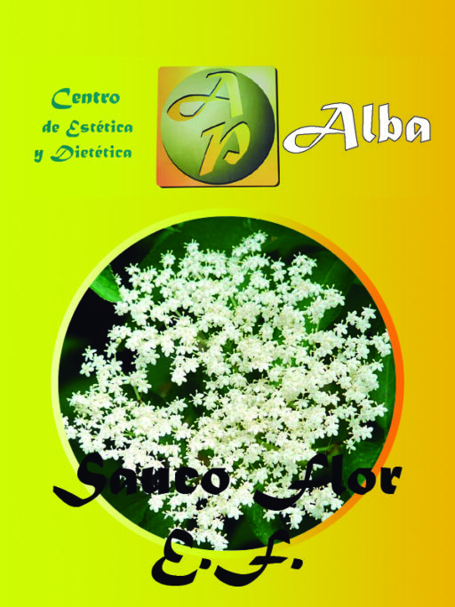 Sauco Flor E.F.