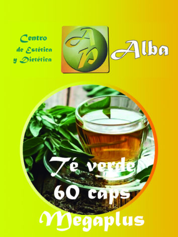Té verde – 60 caps Megaplus