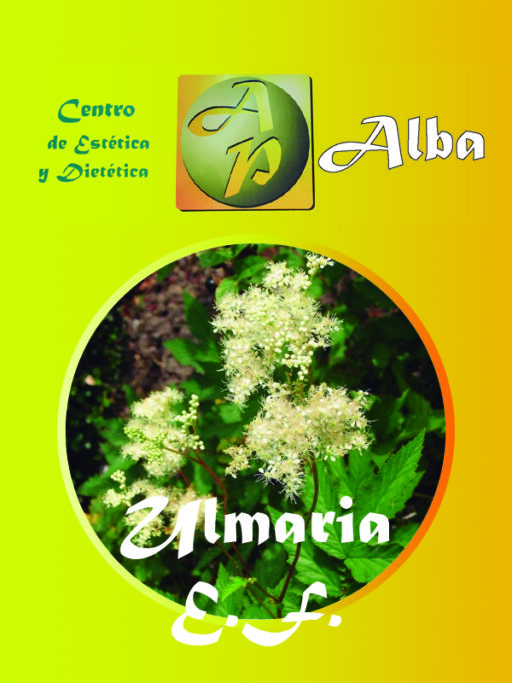Ulmaria E.F.