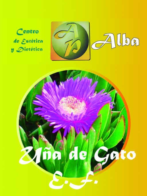 Uña de Gato E.F.
