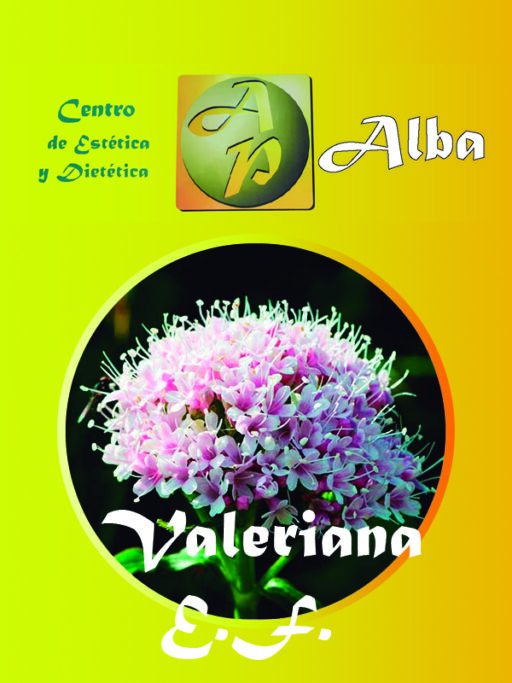Valeriana E.F.