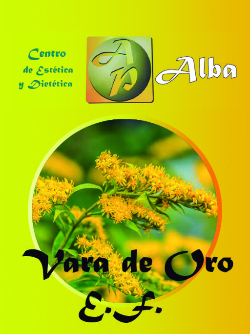 Vara de Oro E.F.