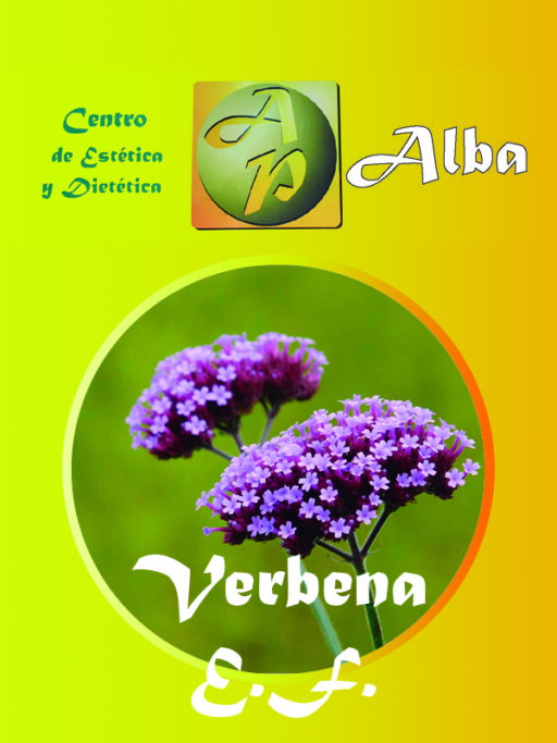 Verbena E.F.