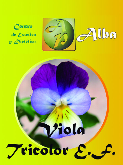Viola Tricolor E.F.