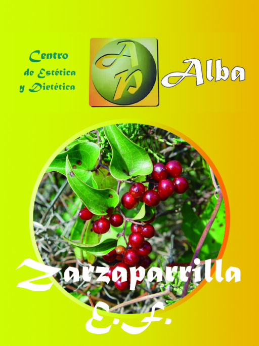 Zarzaparrilla E.F.